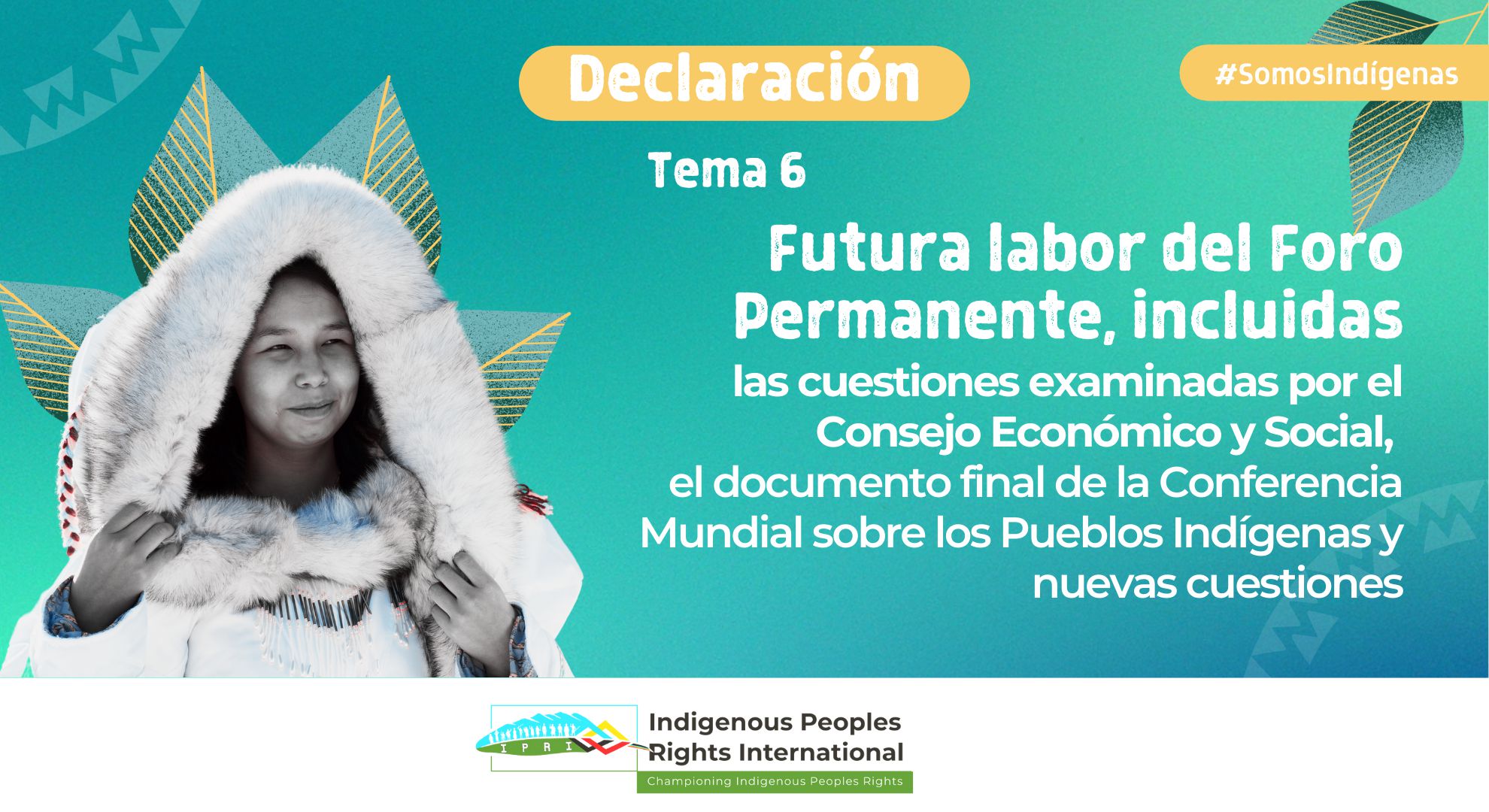 22 Sesión del UNPFII || Tema 6. Futura labor del Foro Permanente, incluidas las cuestiones examinadas por el Consejo Económico y Social, el documento final de la Conferencia Mundial sobre los Pueblos Indígenas y nuevas cuestiones