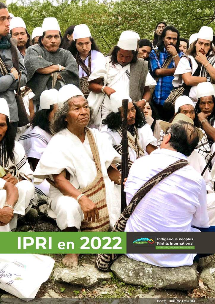 IPRI en 2022 (Informe anual del IPRI 2022)