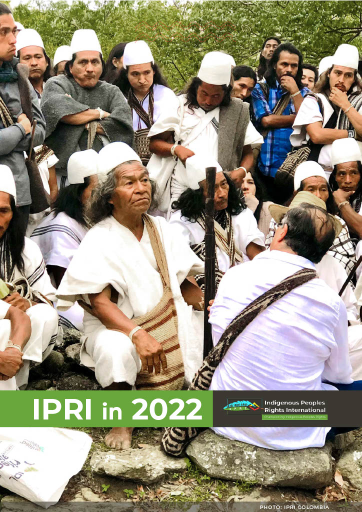 IPRI in 2022 (IPRI Annual Report 2022)