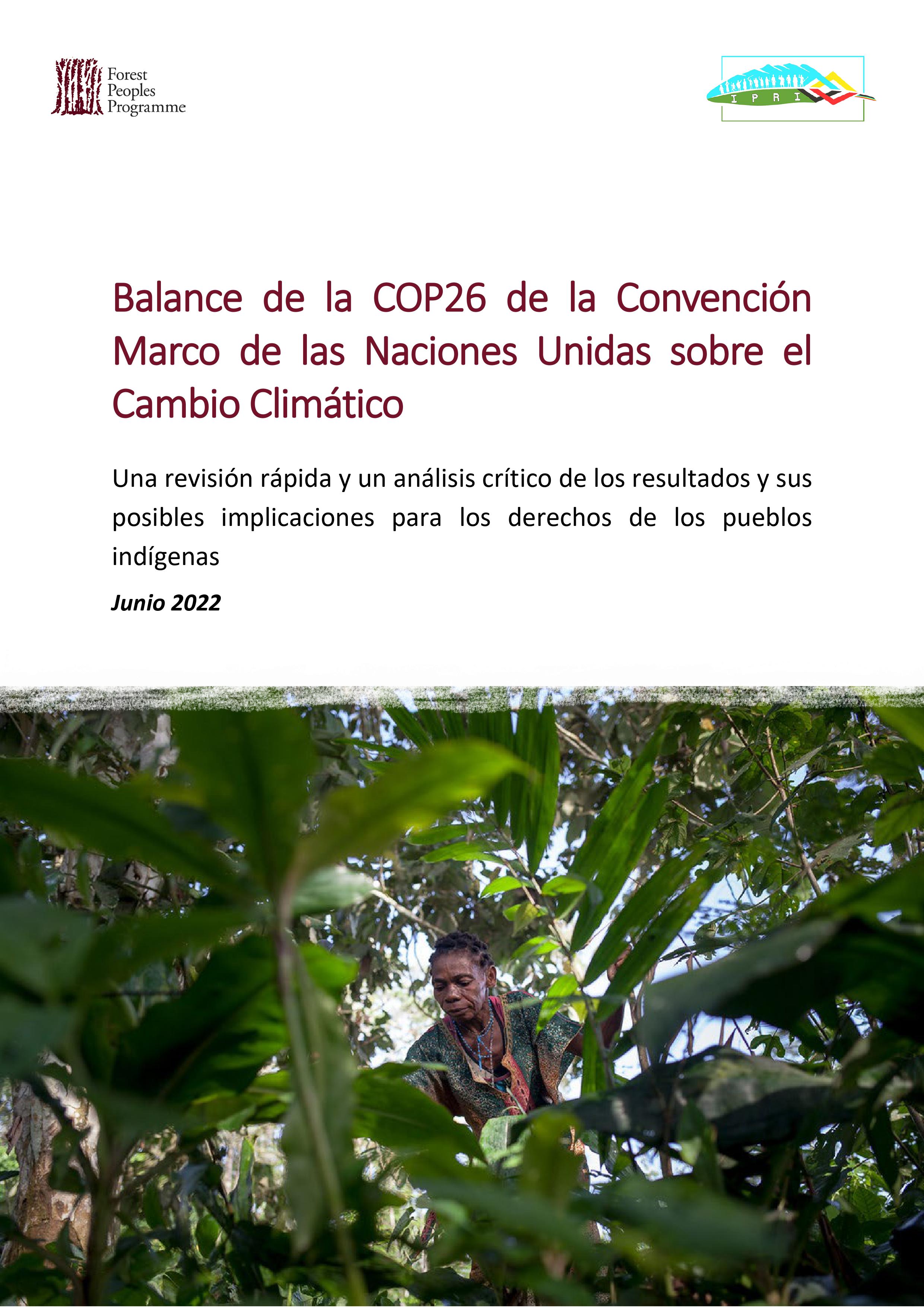 Balance de la COP26 de la Convención Marco de las Naciones Unidas sobre el Cambio Climático