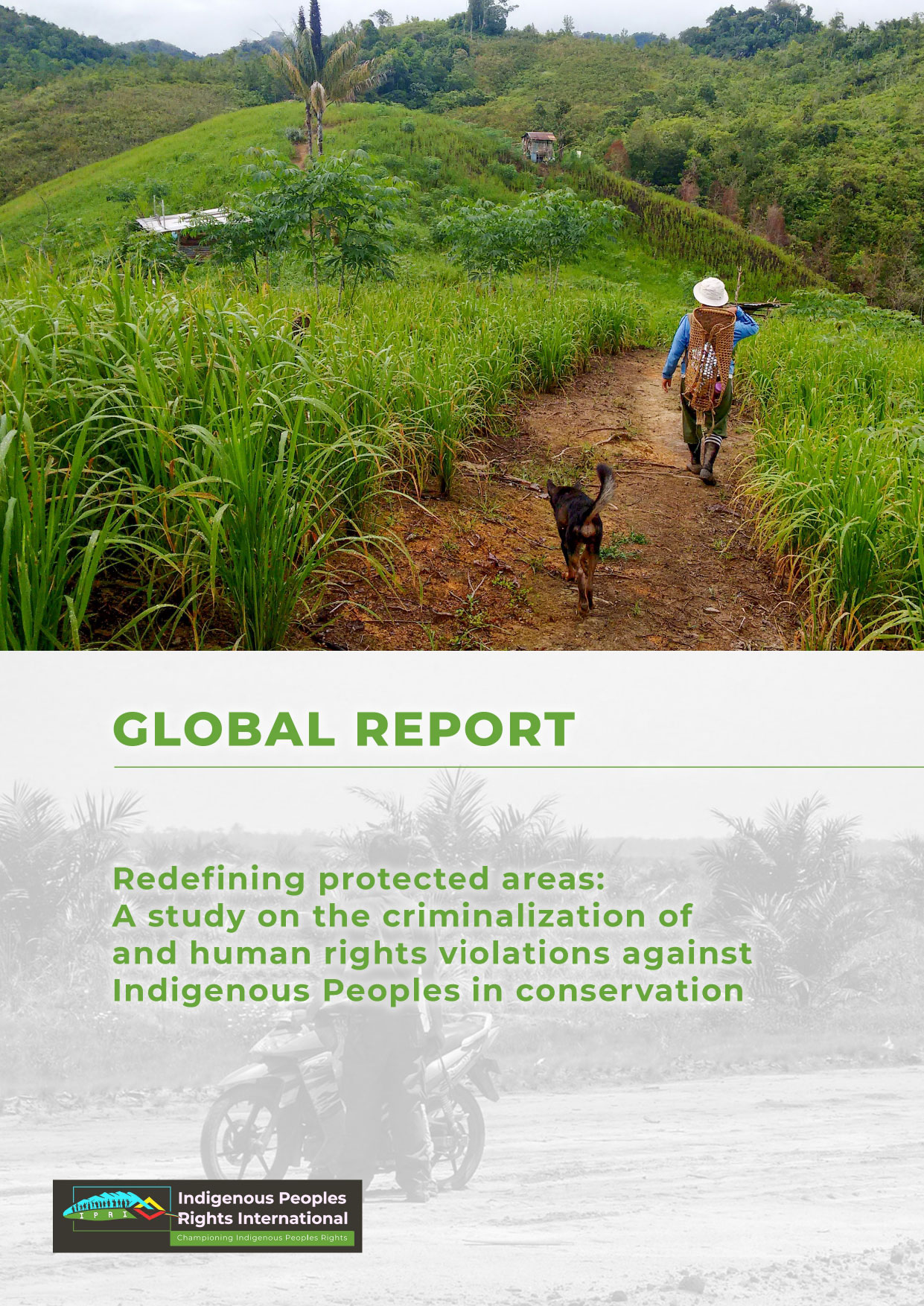 Global Report || Redefining Protected Areas: A Study on the Criminalization of and Human Rights Violations Against Indigenous Peoples in Conservation